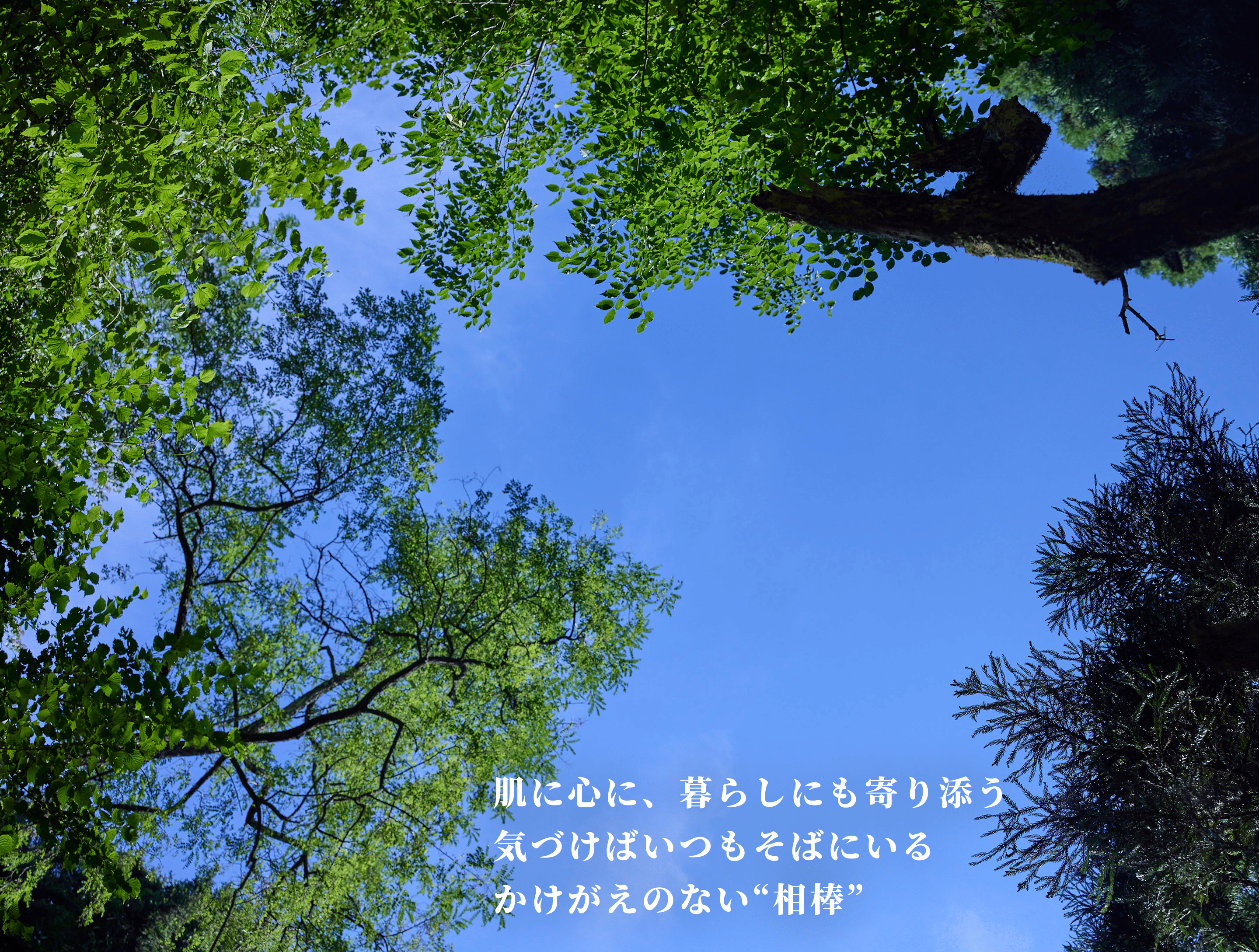 school