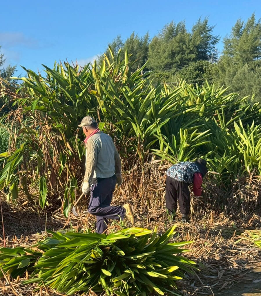 国内製造の様子